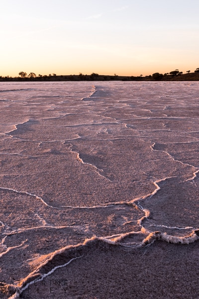 Pink salt lake, Murray-Sunset National Park | Catherine Bailey Photography