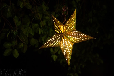 Lantern | Catherine Bailey Photography