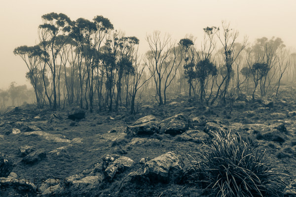 Foggy view at Major Mitchell Lookout, Mt Macedon