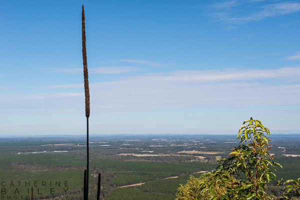 View from Mount Beerburrum