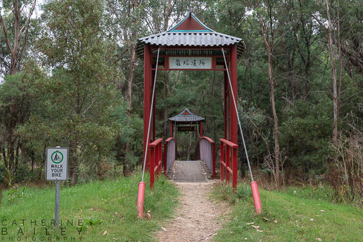 Chinese Bridge, The Diggings Walk | Catherine Bailey Photography