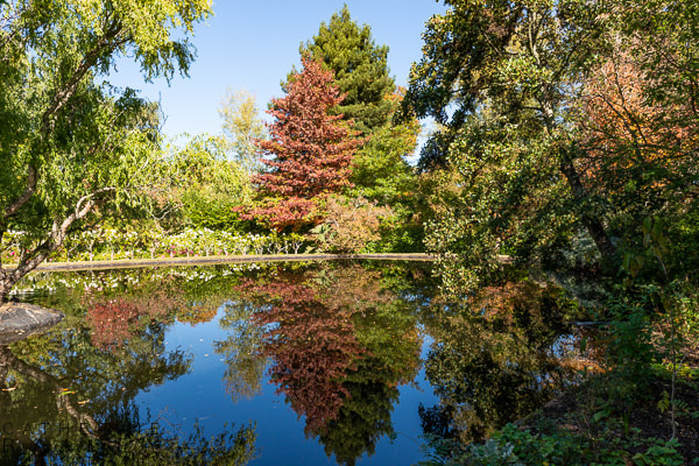Lake and garden at Tieve Tara | Catherine Bailey Photography